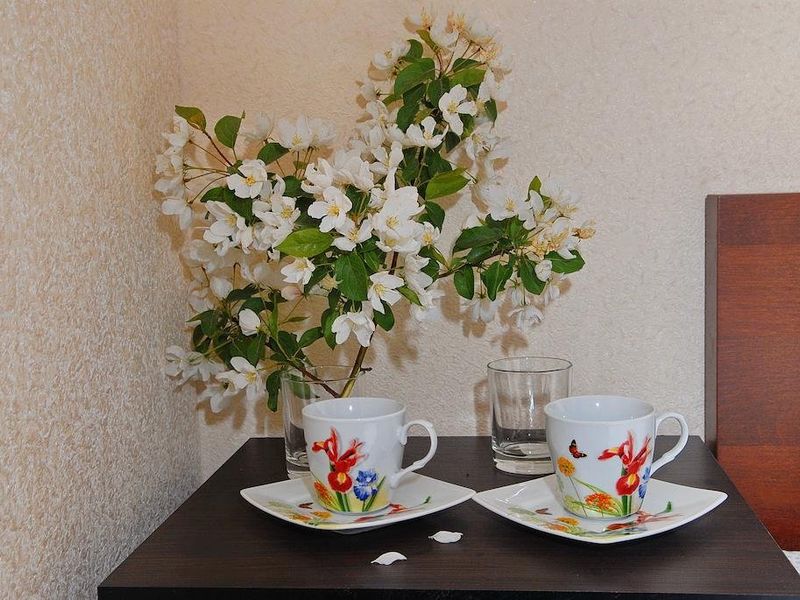 صورة الفندق 15