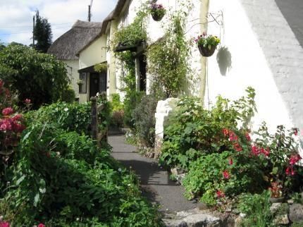 Wellington Farm Guesthouse & TeaRoom