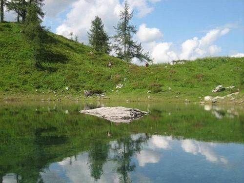صورة الفندق 20