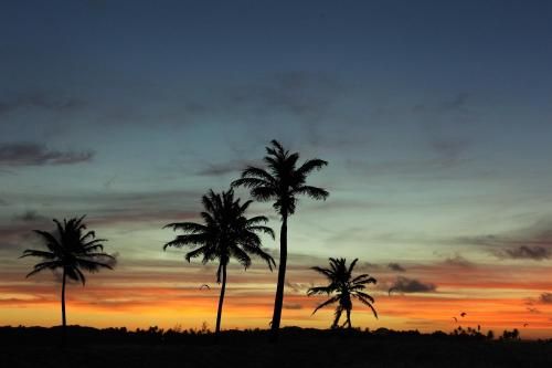 صورة الفندق 18