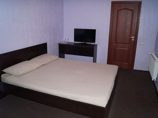 Парк-отель Сойкино