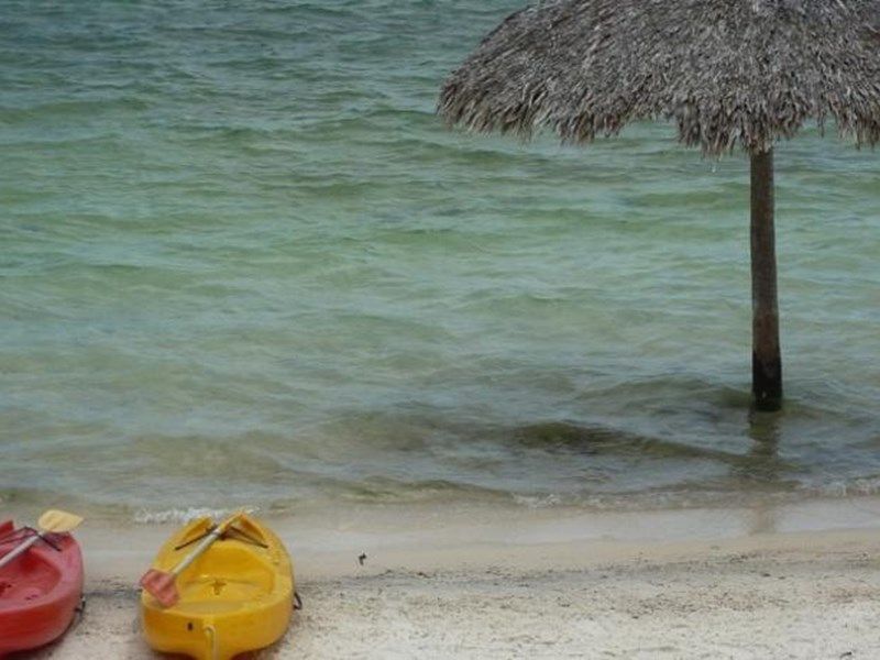 صورة الفندق 15