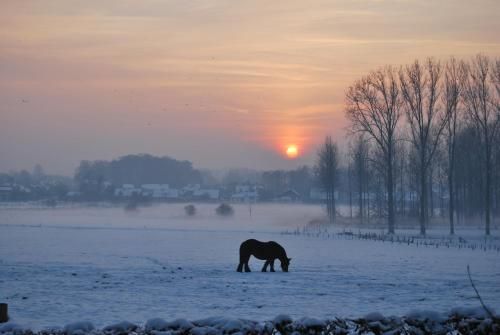 صورة الفندق 20
