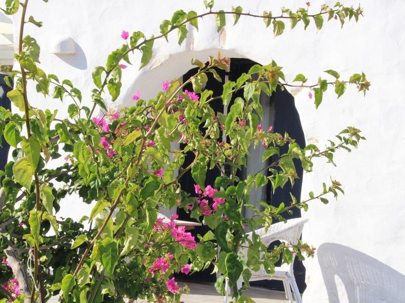 صورة الفندق 6