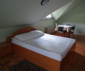 Rooms Hochkraut Celje Slovenia