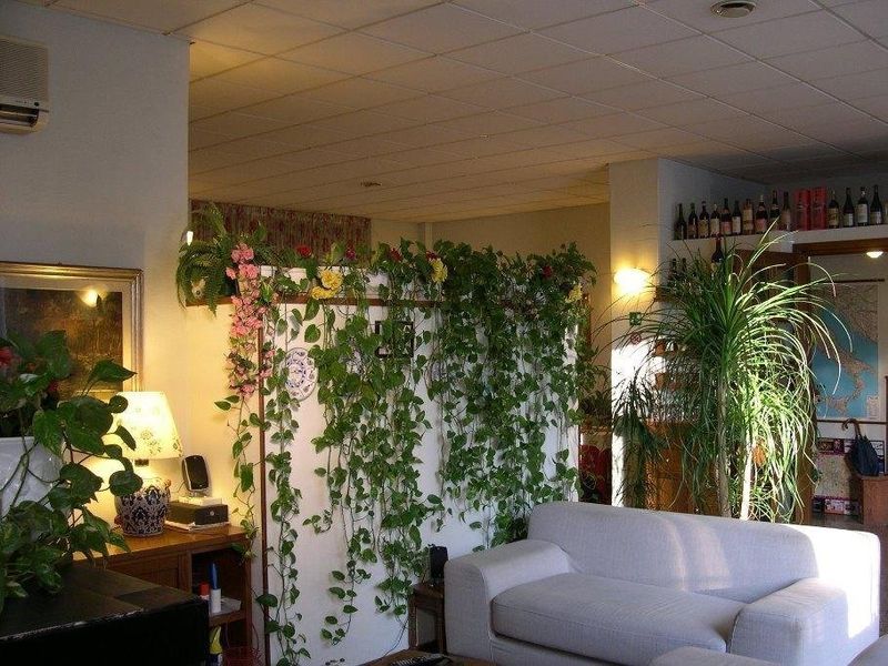 صورة الفندق 8