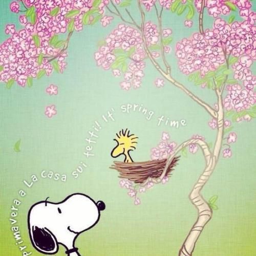 صورة الفندق 6