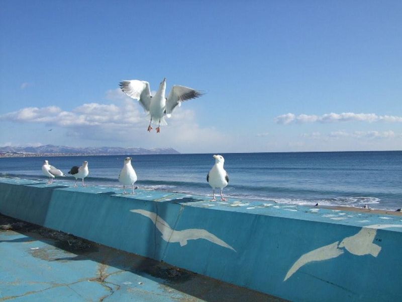 صورة الفندق 21