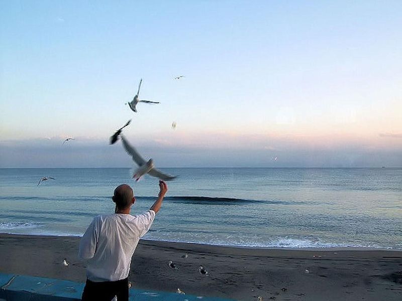 صورة الفندق 22