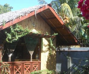 Jungle Flower Guest House Palawan Island Philippines