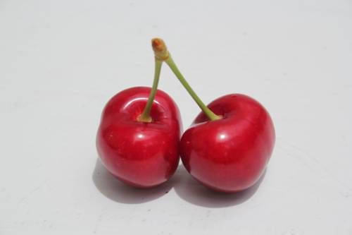 صورة الفندق 15