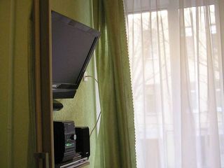 Игуана на Московском