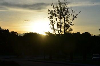 صورة الفندق 16