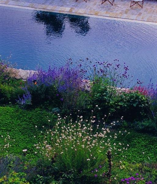 صورة الفندق 12