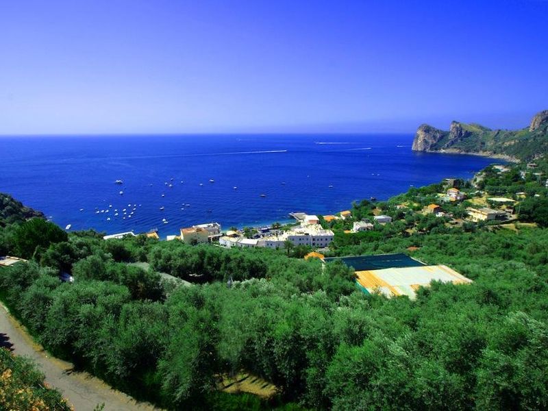 صورة الفندق 9