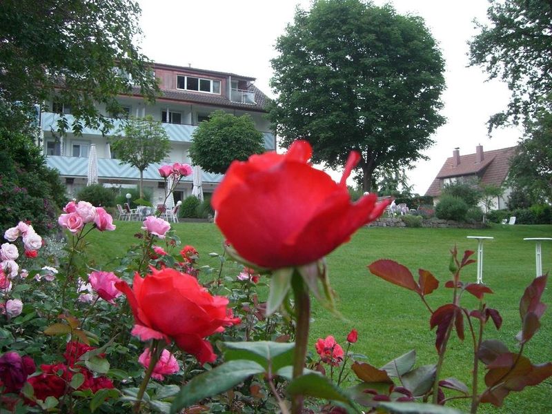 صورة الفندق 20
