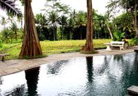 Отзывы Umasari Rice Terrace Villa, 3 звезды