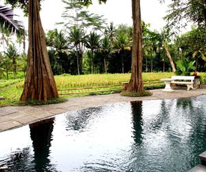 Umasari Rice Terrace Villa Tabanan Indonesia