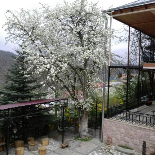صورة الفندق 24