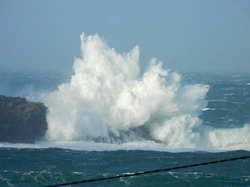 صورة الفندق 15
