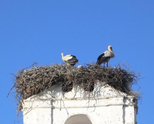 صورة الفندق 3