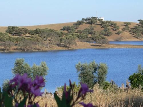 صورة الفندق 8