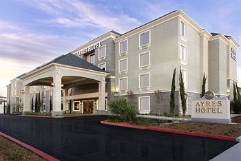 Hotel Photo 24