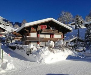 Apartment Bergfink Grindelwald Switzerland