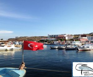 Martı Pansiyon Tenedos Turkey