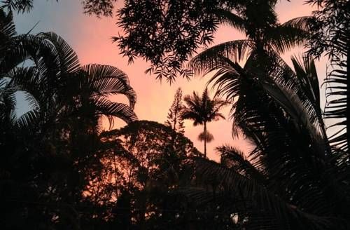 صورة الفندق 23