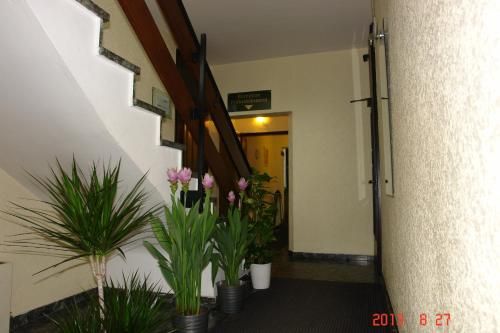 صورة الفندق 18