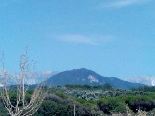 صورة الفندق 19