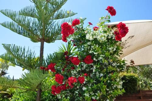 صورة الفندق 15