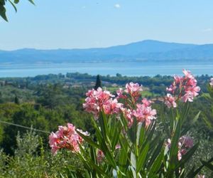 Casa Emilia Tuoro sul Trasimeno Italy