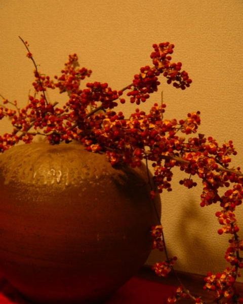 صورة الفندق 24