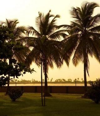 صورة الفندق 20