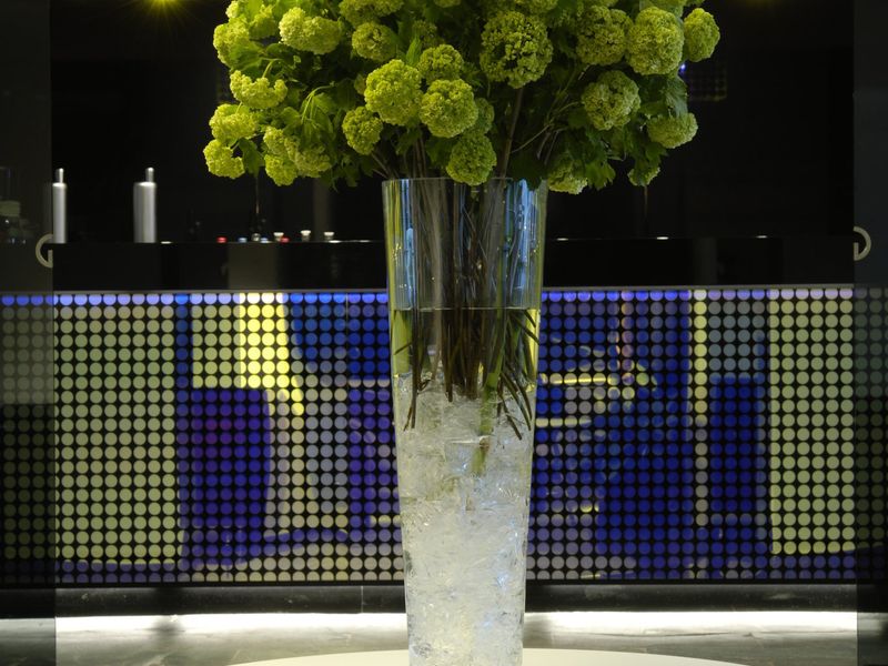 صورة الفندق 22