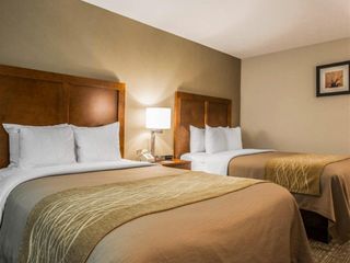 Hotel pic Comfort Inn & Suites at Maplewood