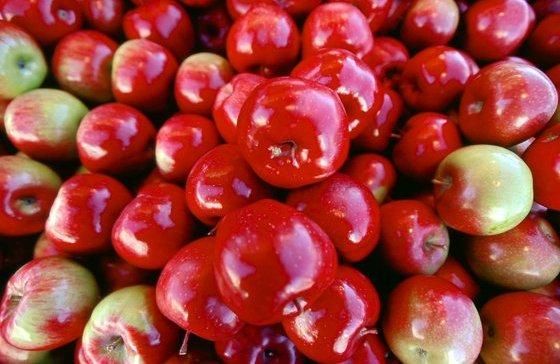 صورة الفندق 6