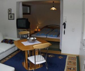 Apartment Fellinger Pettneu am Arlberg Austria