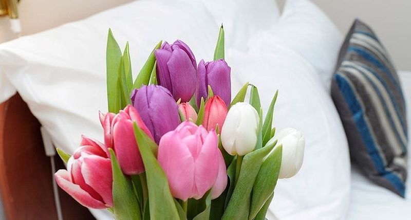 صورة الفندق 16