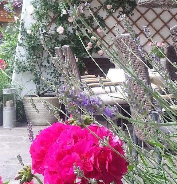 صورة الفندق 19