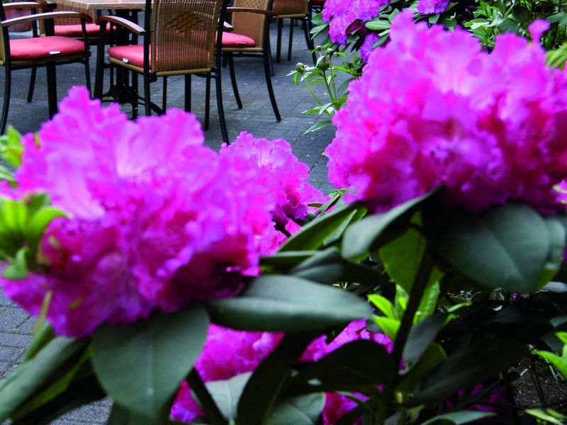 Hotel Photo 13
