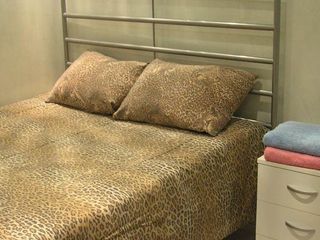 Игуана на Фонарном