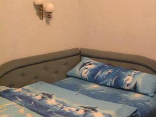 Игуана на Фонарном