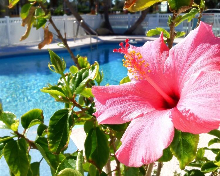 صورة الفندق 16