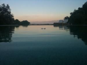 صورة الفندق 19