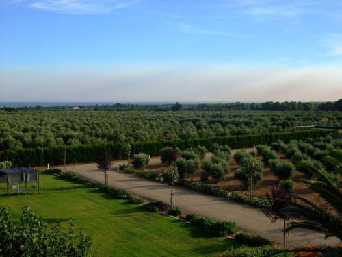 صورة الفندق 19