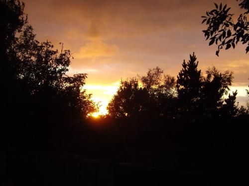 صورة الفندق 20