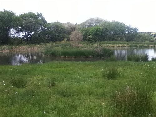 صورة الفندق 3